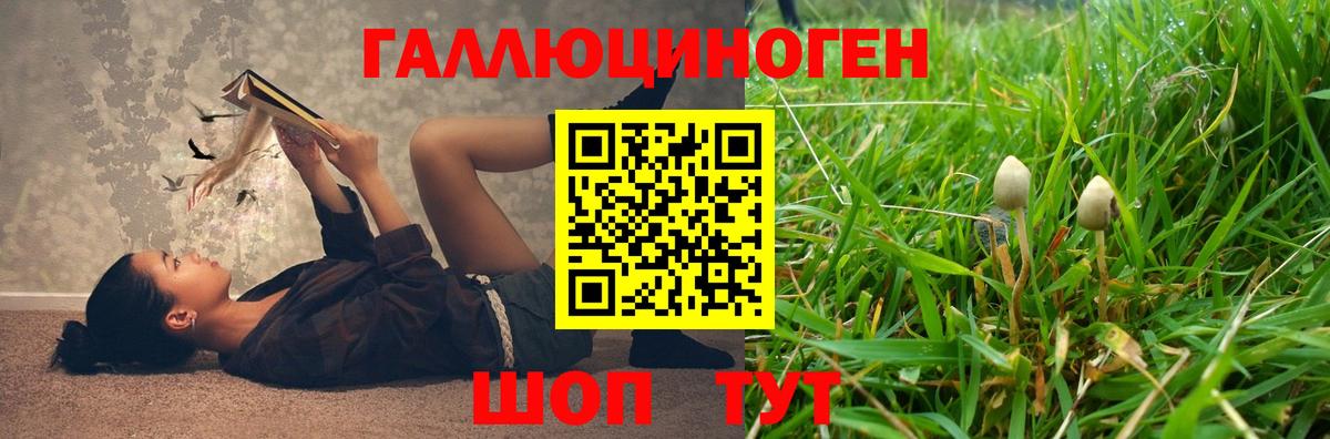 Псилоцибиновые грибы GOLDEN TEACHER  Вход с VPN  Галлюциногенные грибы Psilocybe  Фурманов 